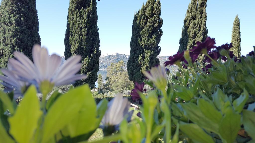 Bed and Breakfast Il Nido Del Falco Castel Gandolfo Exterior foto