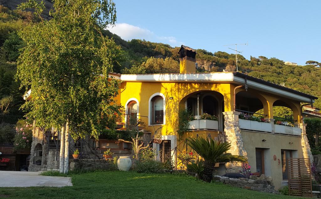 Bed and Breakfast Il Nido Del Falco Castel Gandolfo Exterior foto