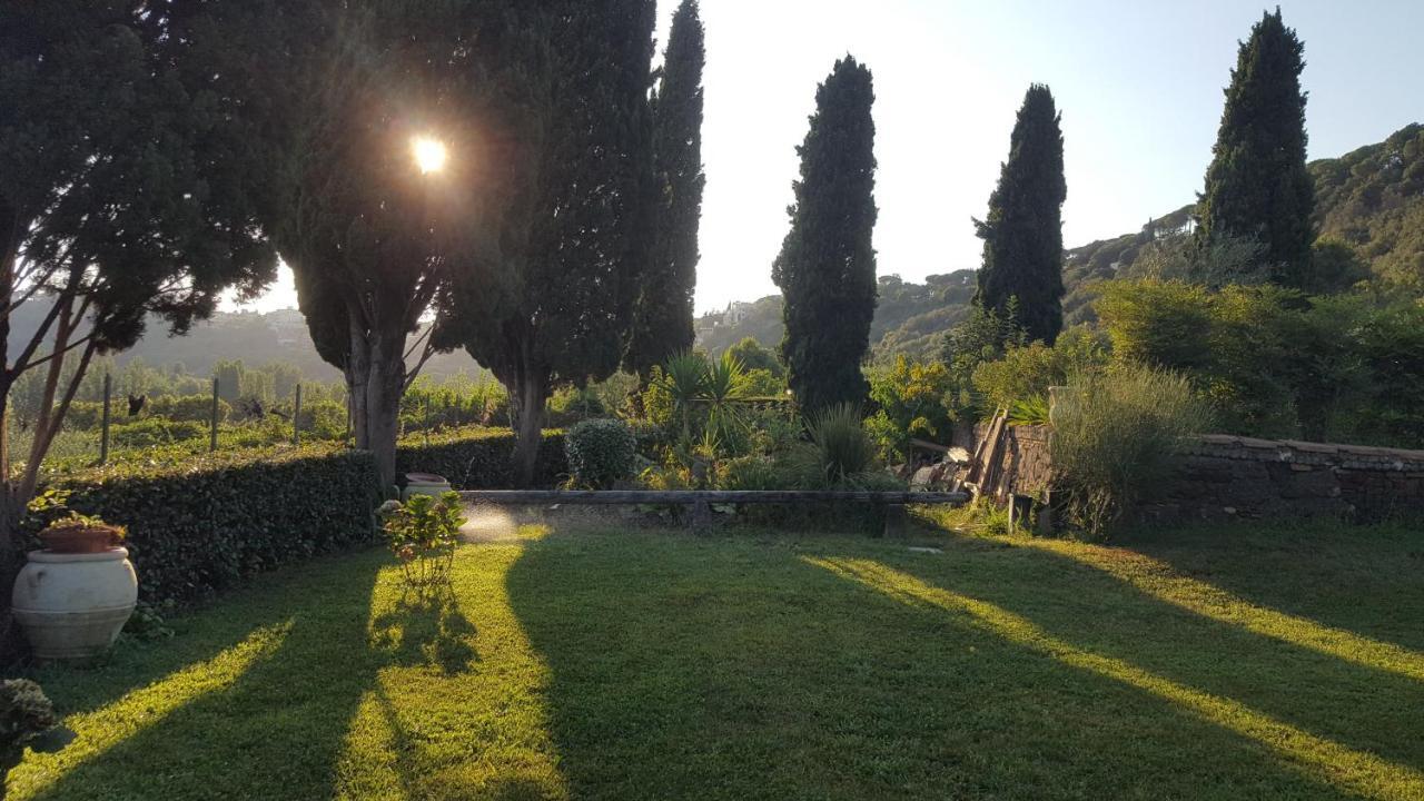 Bed and Breakfast Il Nido Del Falco Castel Gandolfo Exterior foto